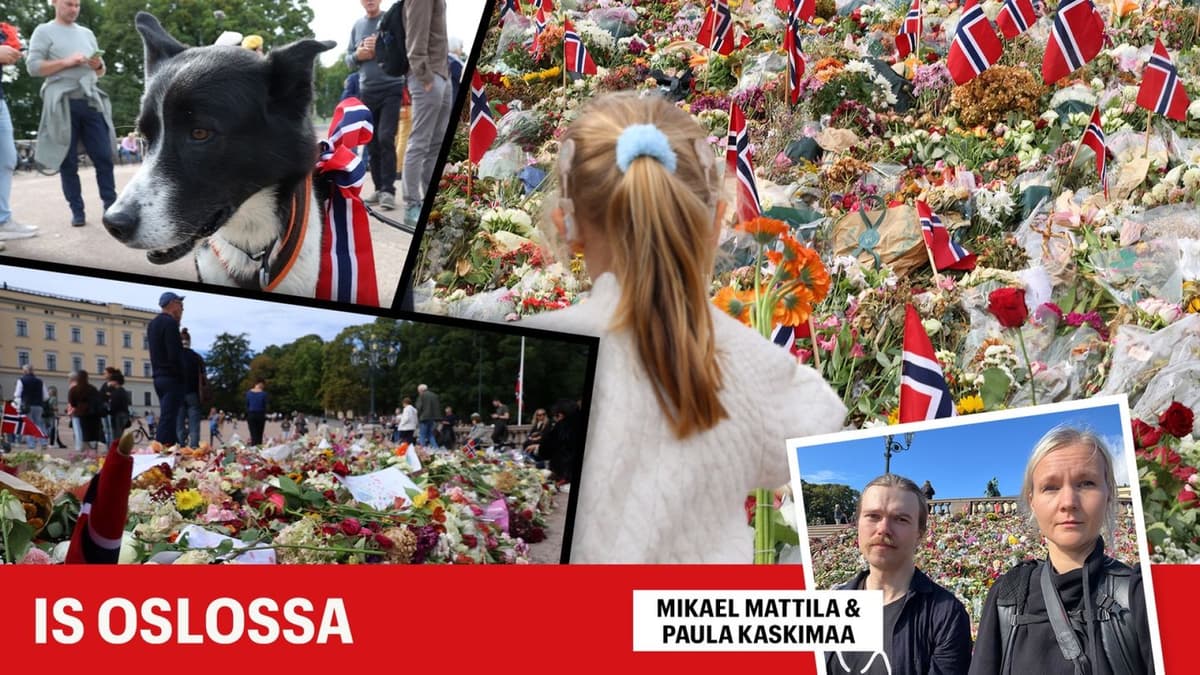 Øyvind pääsi jättämään hyvästit Haraldille – tällaista oli kappelin sisällä: ”Tuntui voimakkaalta”